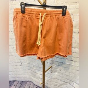 NWT Volcom Strutin Stone Shorts XXL